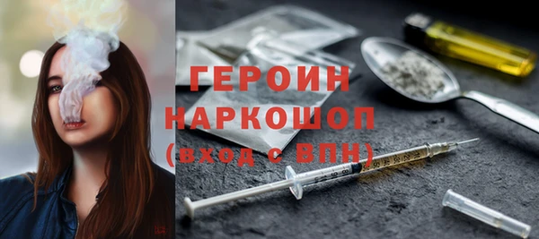 СК Алексин