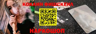 стаф Гатчина