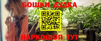 стаф Гатчина