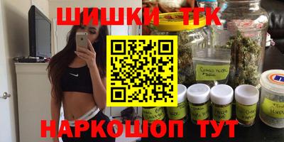 стаф Гатчина
