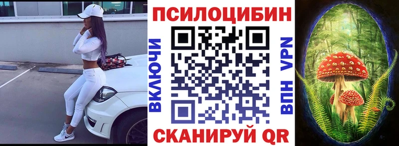 Псилоцибиновые грибы Cubensis  Нижнеудинск 