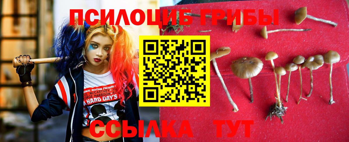 Псилоцибиновые грибы мухоморы Нижнеудинск