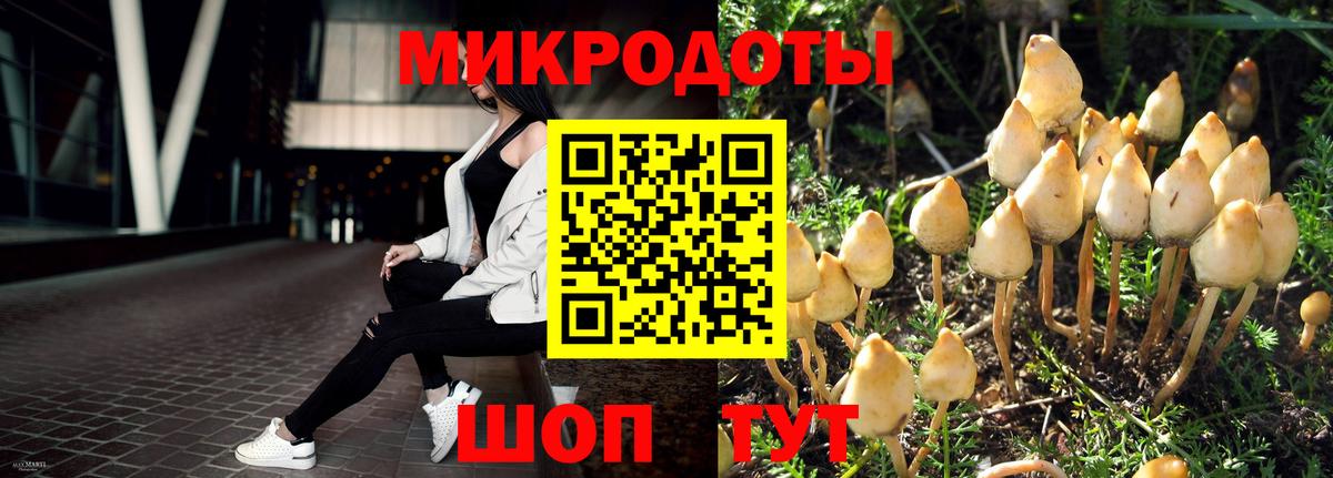 Псилоцибиновые грибы прущие грибы  Вход с VPN  Нижнеудинск 